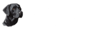 cropped-Banner-logo-labrador-chile.png